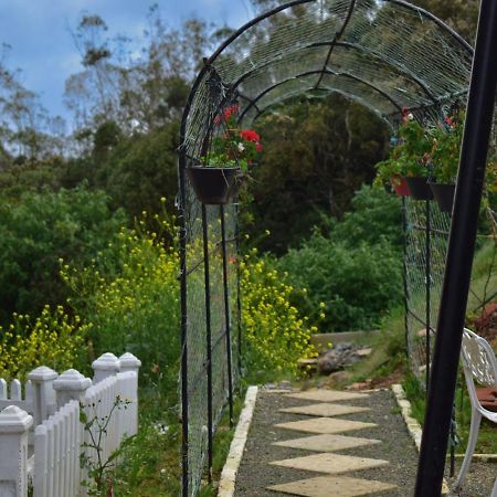 Newbury Villa Nuwara Eliya Exteriér fotografie